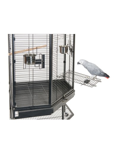 Liberta Alaska Corner Parrot Cage with Playgym Top