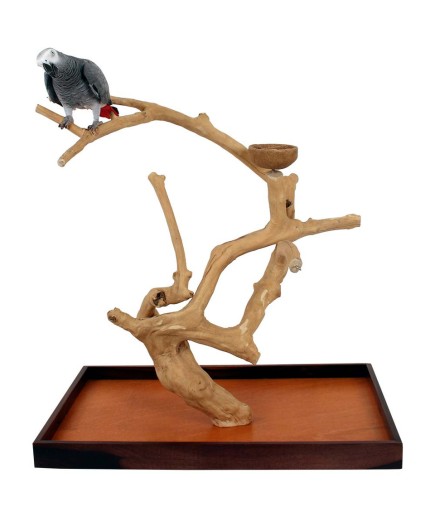 Java Tabletop Tree - Large - Natural Hardwood Parrot Stand