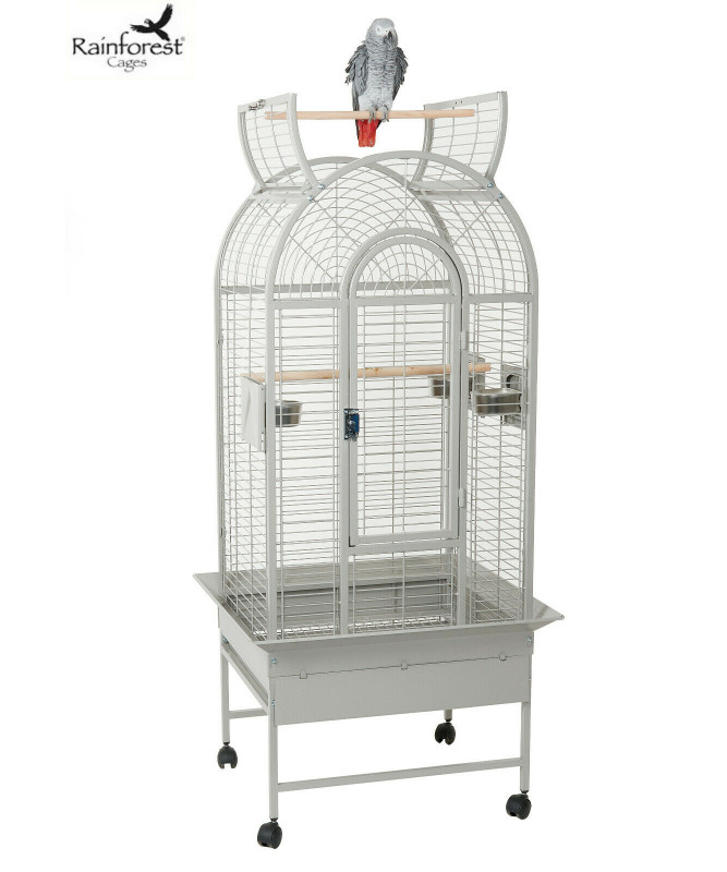 rainforest bird cage