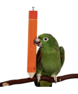 Parrot-Supplies Hanging Parrot Pencil Toy Large