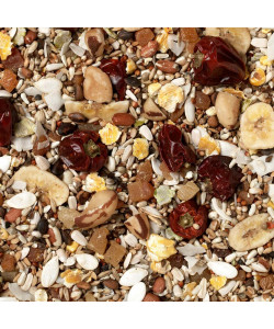 Johnston and Jeff Low Sunflower Diet for African Greys Parrot Seed Mix 900g