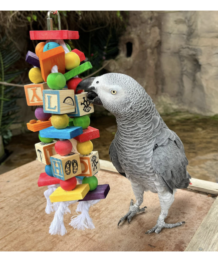 Parrot-Supplies Coloured Blocks Wooden African Grey Parrot Toy