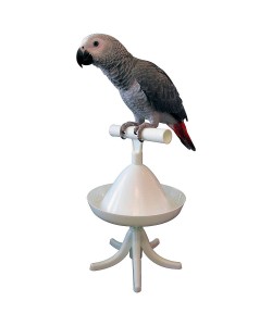 The Percher - Portable Parrot Training Perch Stand