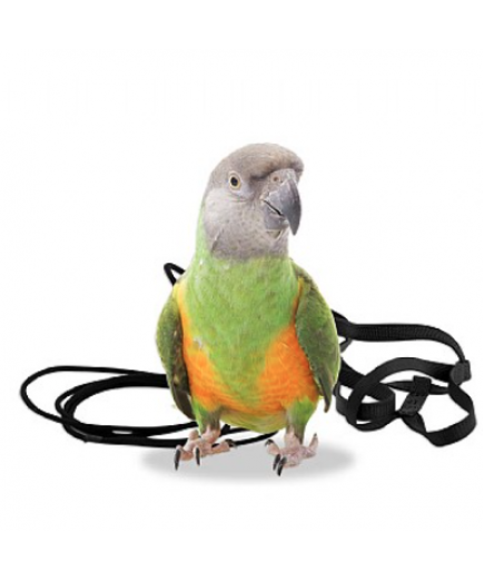 The Aviator Parrot Harness - XSmall - 4 Colours