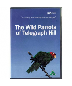 The Wild Parrots of Telegraph Hill DVD