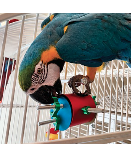 The Busy Barrel Foraging Puzzle Parrot Toy