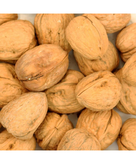 Whole Walnuts (In Shells) Parrot Treat - 350g