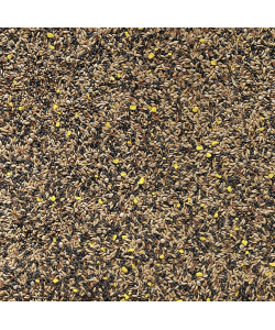Johnston and Jeff Favourite Mixed Canary Seed 1Kg
