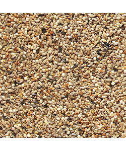 Johnston and Jeff Foreign Finch Seed 1Kg