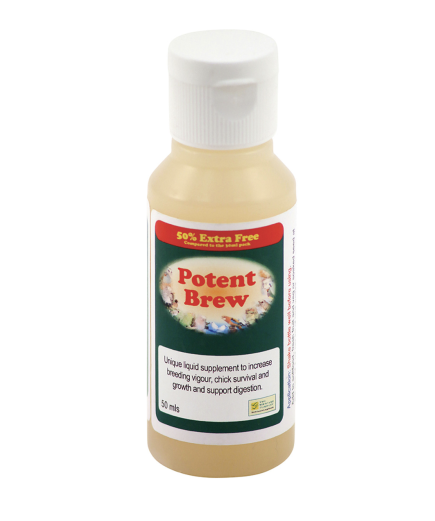 Birdcare Company Potent Brew Live Probiotic Pet Bird Supplement 50ml