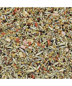 Hagen Gourmet Parakeet Seed Mix 1kg