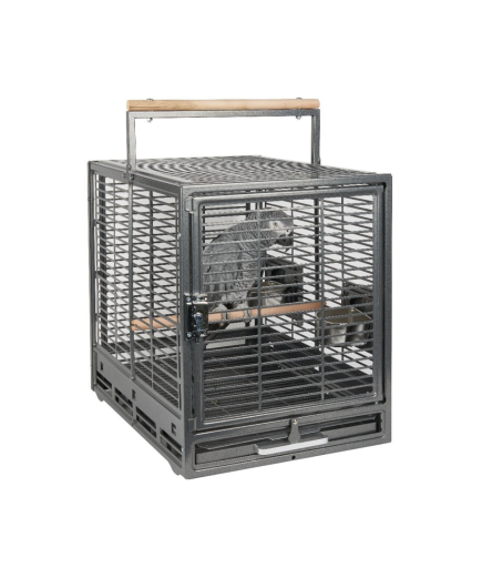 Rainforest Safari Bird Travel Cage, African Grey, Amazon - Antique