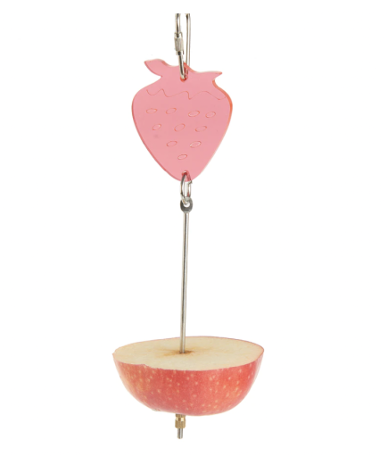 Adventure Bound Fruit Spear Bird Toy