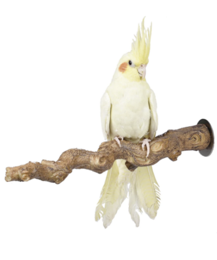 Adventure Bound Grape Vine Parrot Perch - Medium