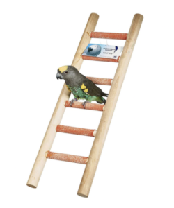 Adventure Bound Six Step Cement Parrot Cage Ladder Toy