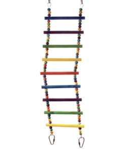 Adventure Bound Flexible Colour Parrot Cage Ladder Toy - Large