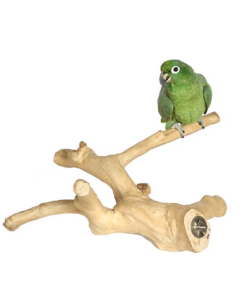 Java Wood Multibranch Perch For Parrots - Medium