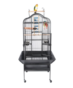 liberta eagle parrot cage