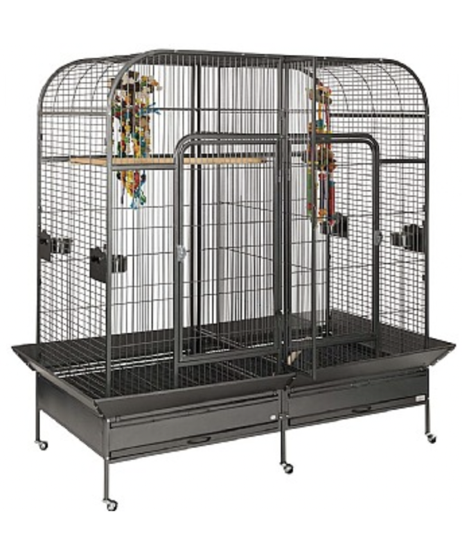 liberta endeavour parrot cage