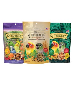 NutriBerries For Small Parrots - Pack Of 3