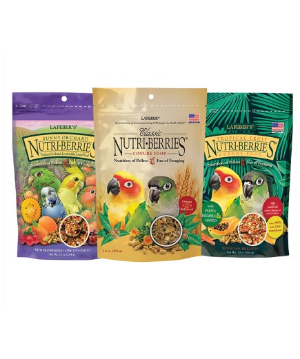 NutriBerries For Small Parrots - Pack Of 3