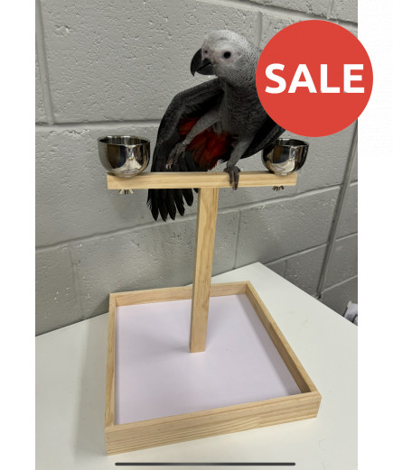 Parrot-Supplies Small Parrot Wooden Play Stand With Bowls