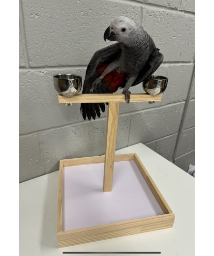 Parrot-Supplies Small Parrot Wooden Play Stand With Bowls