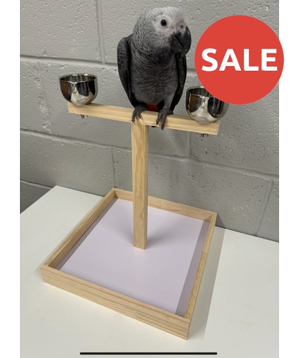 Parrot-Supplies Small Parrot Wooden Play Stand With Bowls