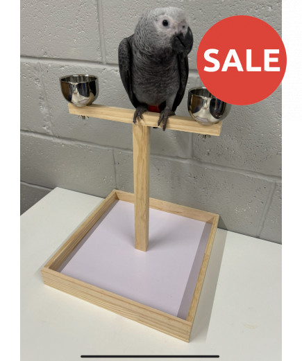 Parrot-Supplies Small Parrot Wooden Play Stand With Bowls