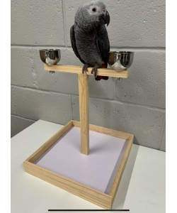 Parrot-Supplies Small Parrot Wooden Play Stand With Bowls