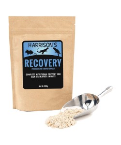 Harrisons Recovery Premium Hand Feeding Formula 350g